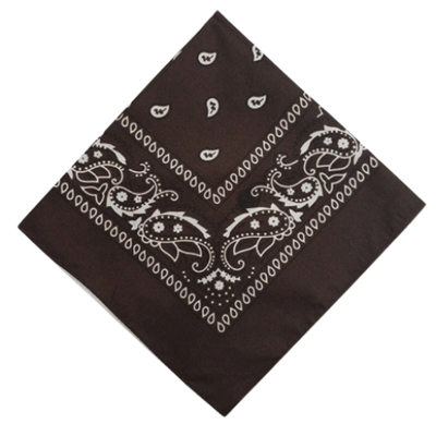 bandana-marron