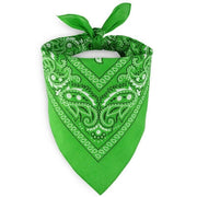 bandana-vert